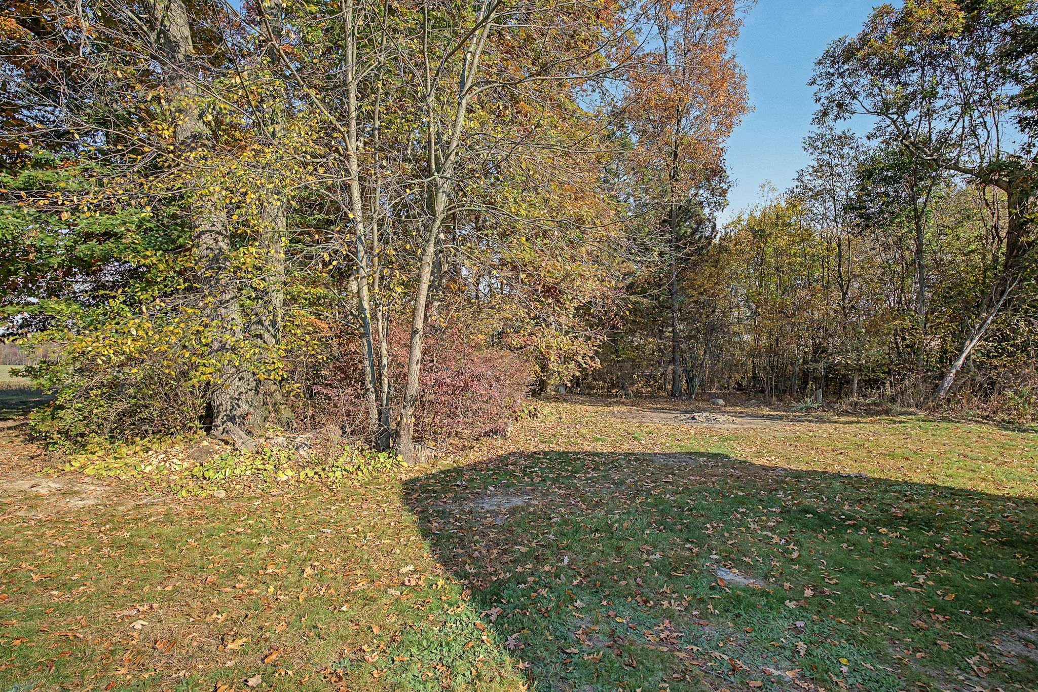  Photo 40