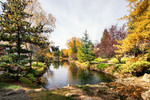  Photo 45