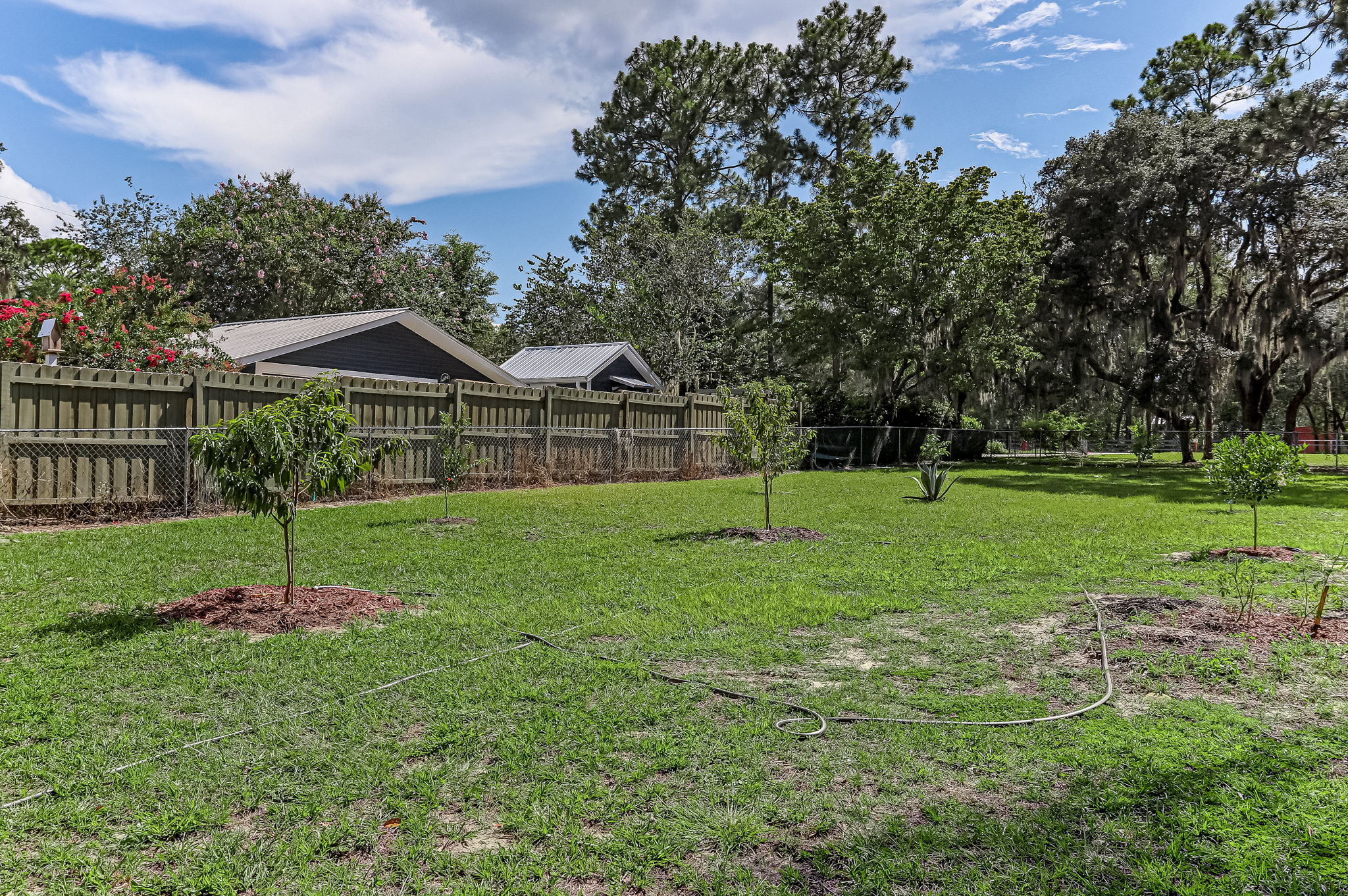 Front Yard