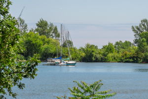  Photo 48