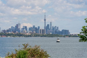  Photo 49