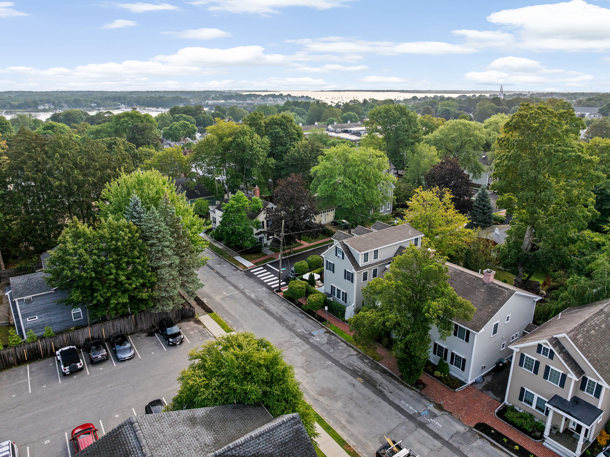 Aerial View of Carter Street I