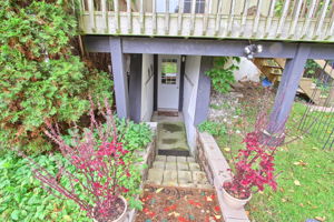  Photo 38
