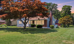  Photo 0