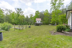  Photo 49