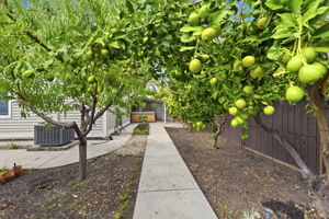 044_F8_5905 Lucinda Ln