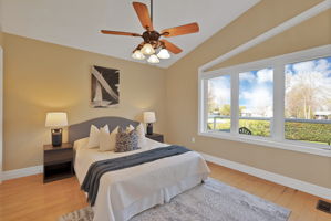  Photo 91