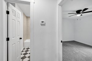  Photo 24
