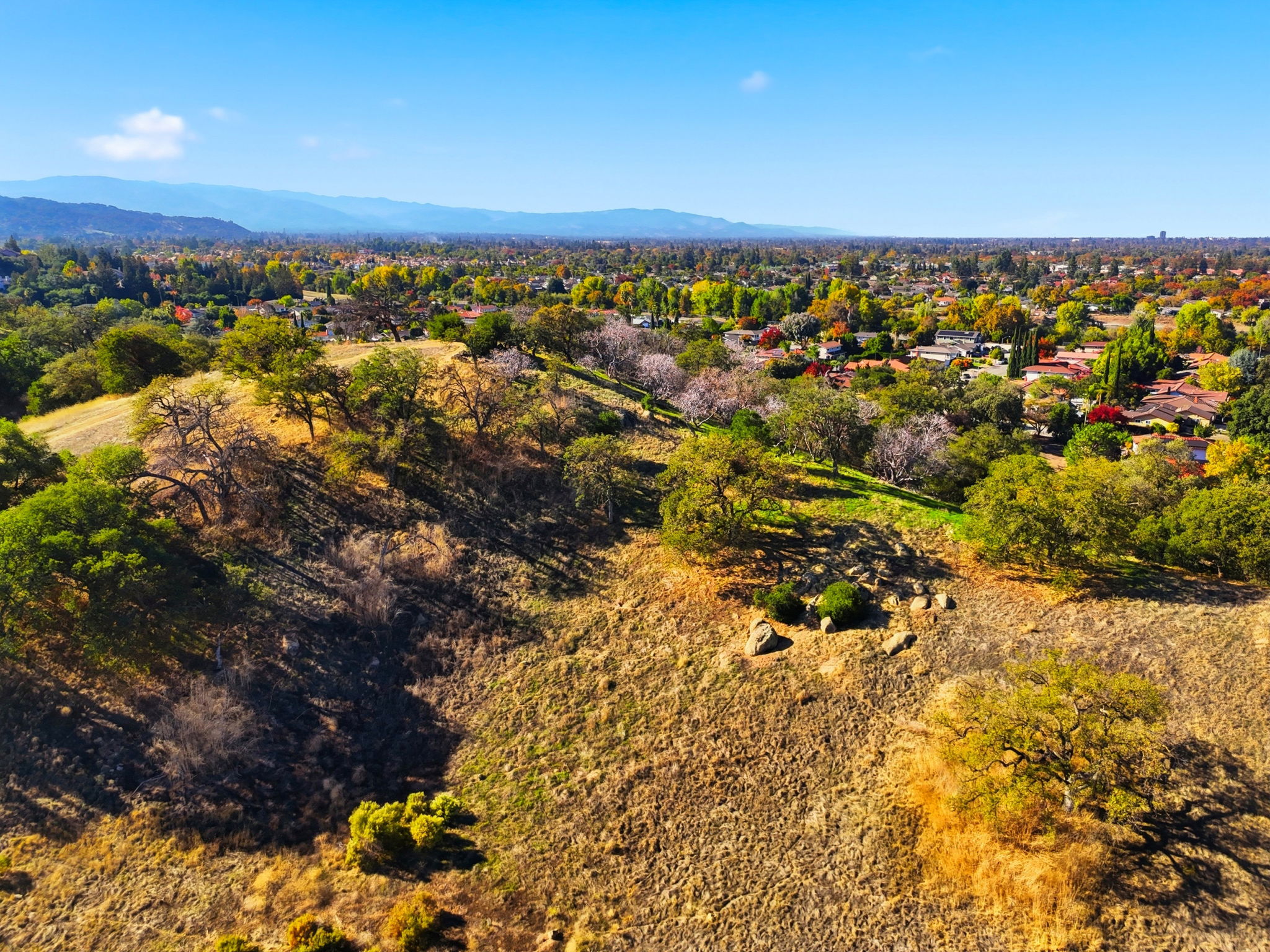 020_F8_AERIAL_5916 Sterling Oaks