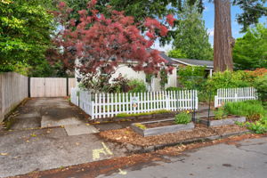  Photo 0