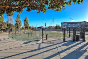  Photo 47