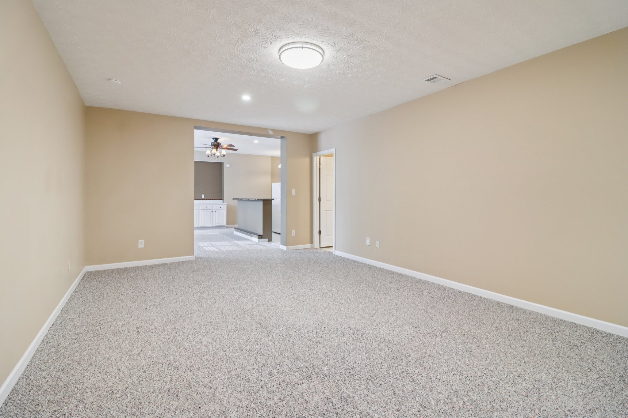 5926 Mount Water Trl, Buford-065.jpg