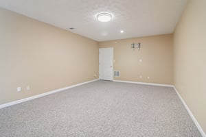 5926 Mount Water Trl, Buford-064.jpg