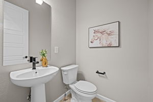 Photo 27