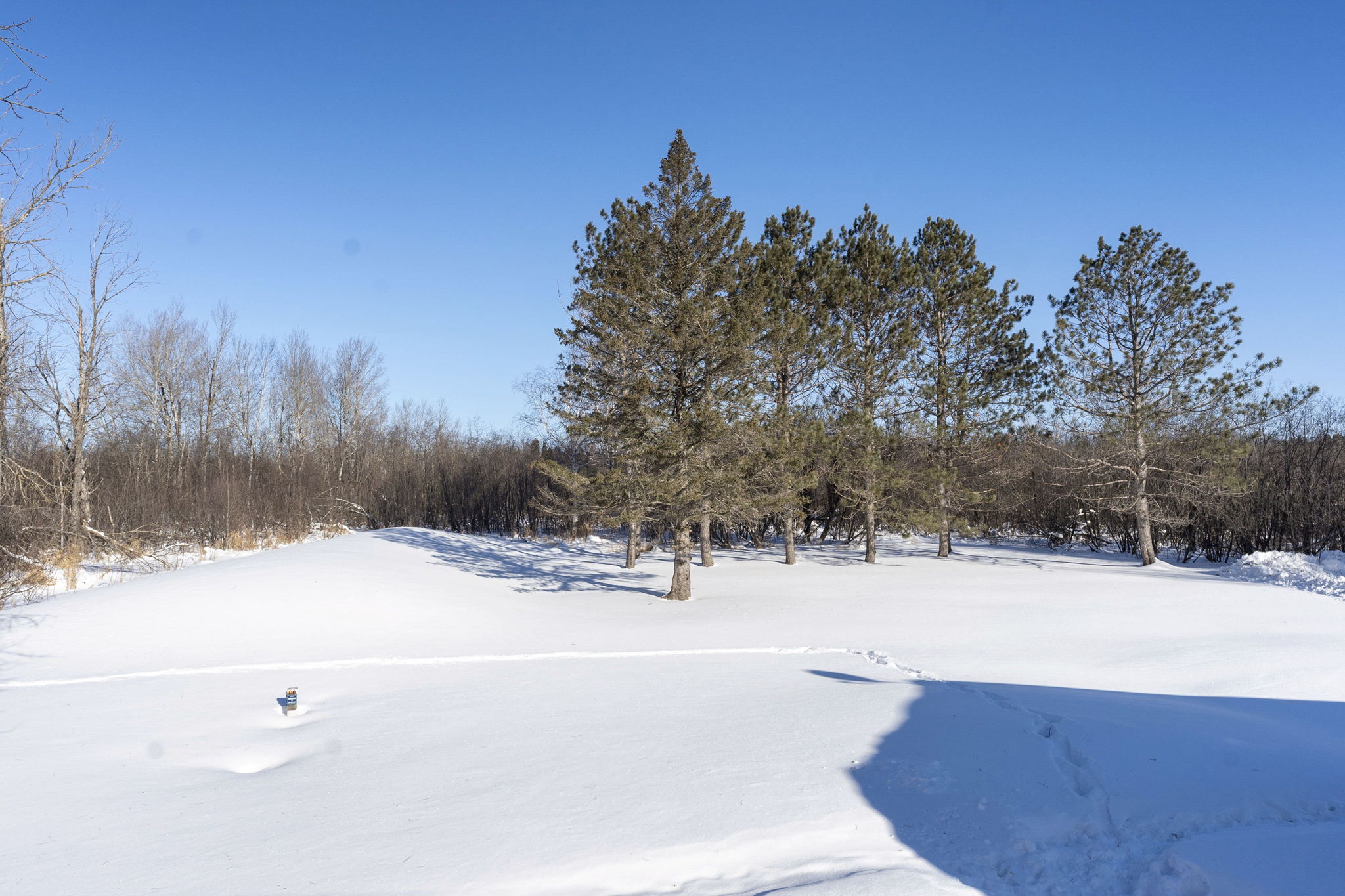 5939 Rose Rd, Duluth, MN 55810, USA Photo 41
