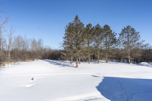 5939 Rose Rd, Duluth, MN 55810, USA Photo 40