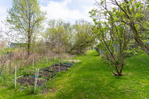  Photo 35