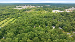 Image-45