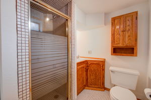 Bathroom Downstairs 1