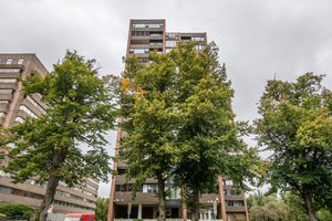  Photo 48