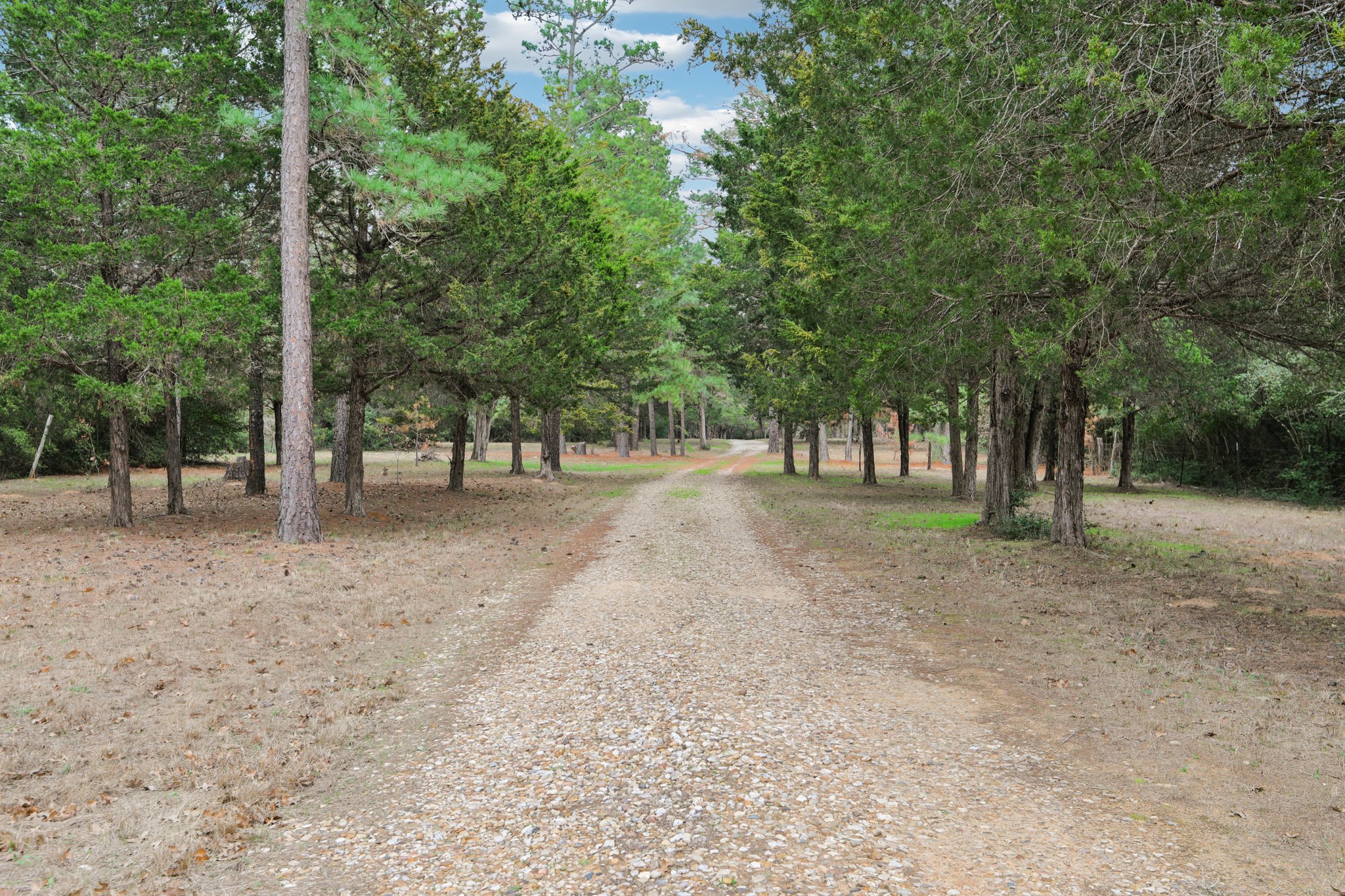 Herron Trail-054.jpg