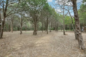 Herron Trail-048.jpg