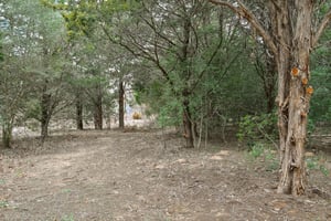 Herron Trail-051.jpg