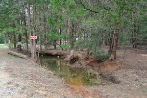 Herron Trail-055.jpg