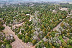 Herron Trail-d-003