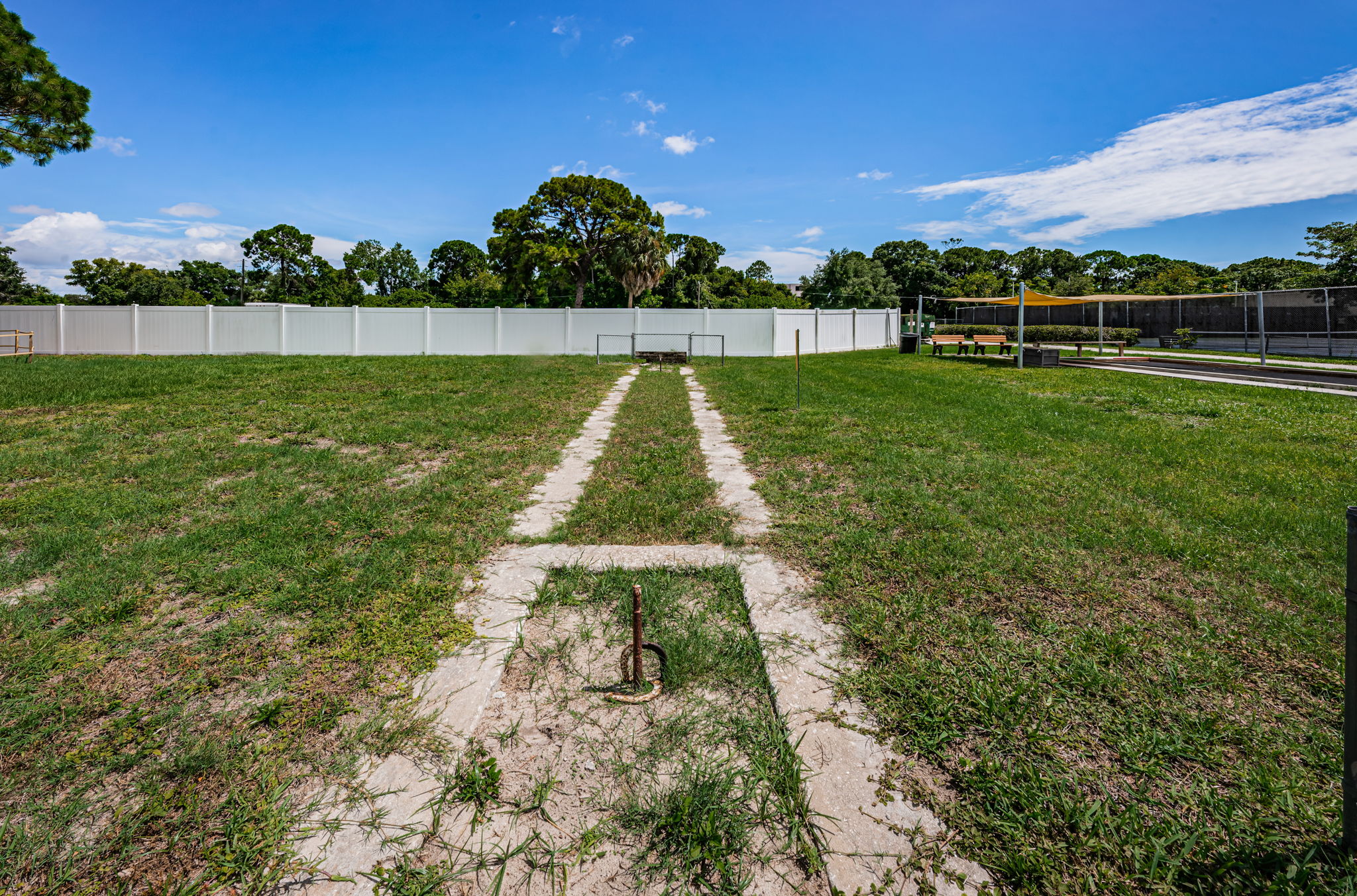 Magnolia Sun Center Horseshoes