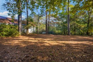 597 Sanders-Davis Rd, Newnan, GA 30263, USA Photo 26