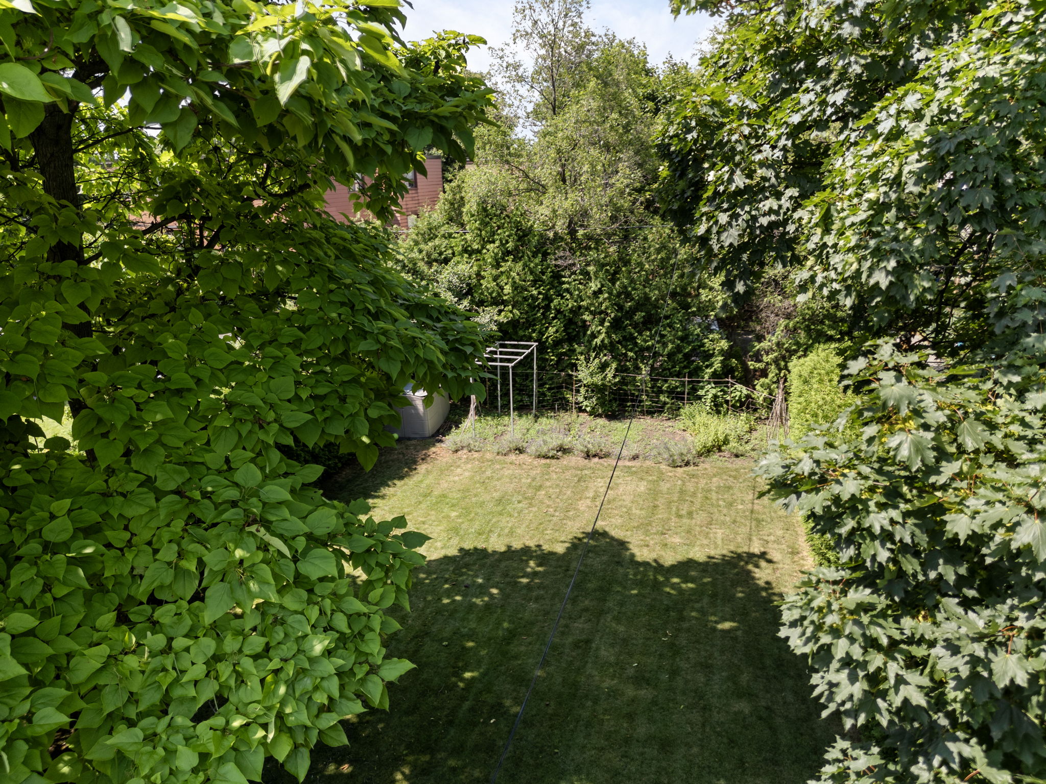  Photo 36
