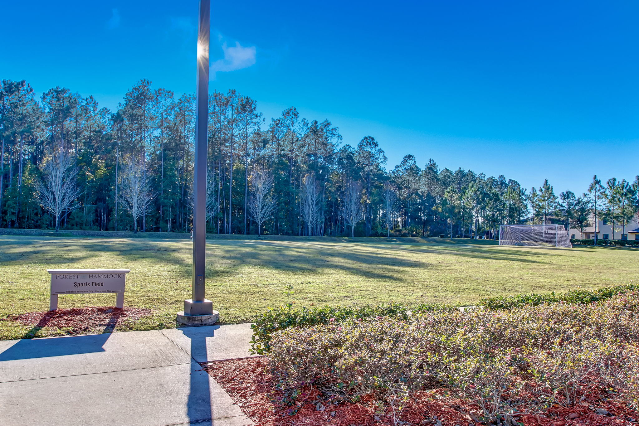 Forest Hammock