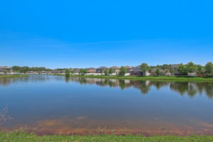 Back Yard Lake View