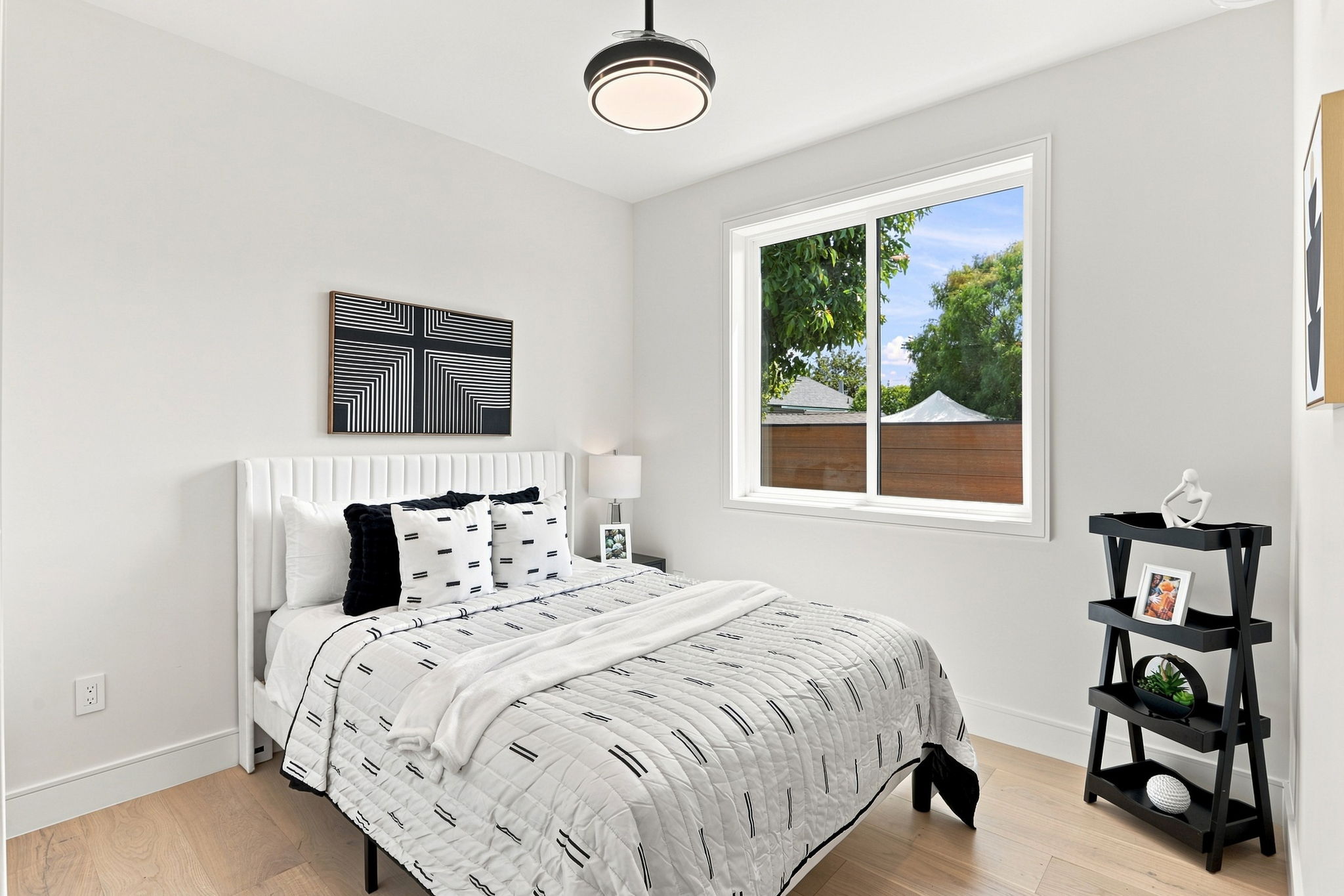  Photo 65