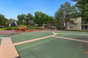 Basketball Court