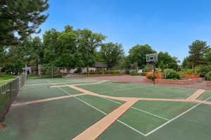 Basketball Court