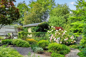  Photo 55