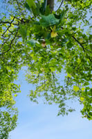 DSC08753.jpg