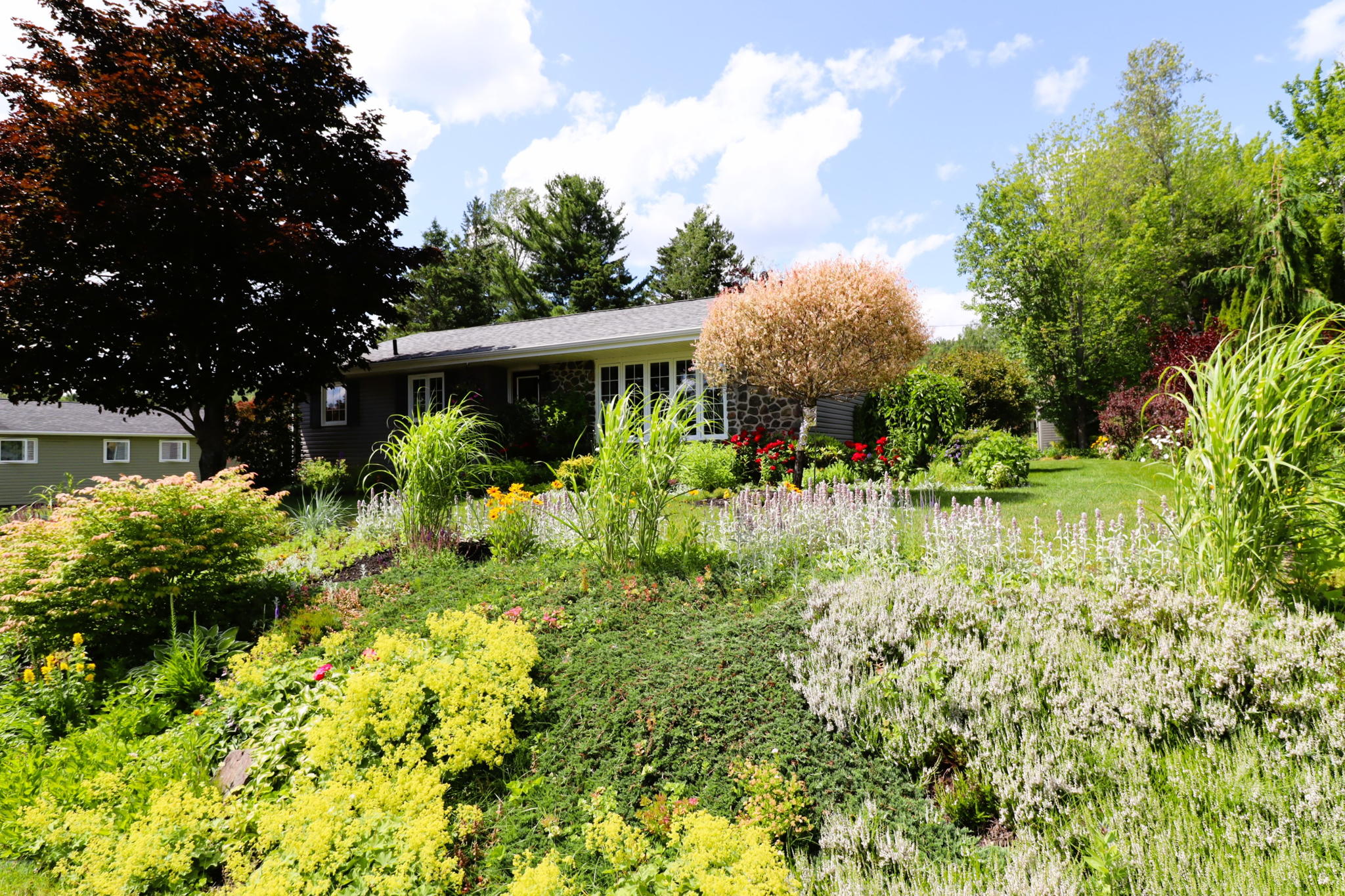 6 Chestnut Crescent, Lutes Mountain, NB E1G 2S4 PROPICSTA