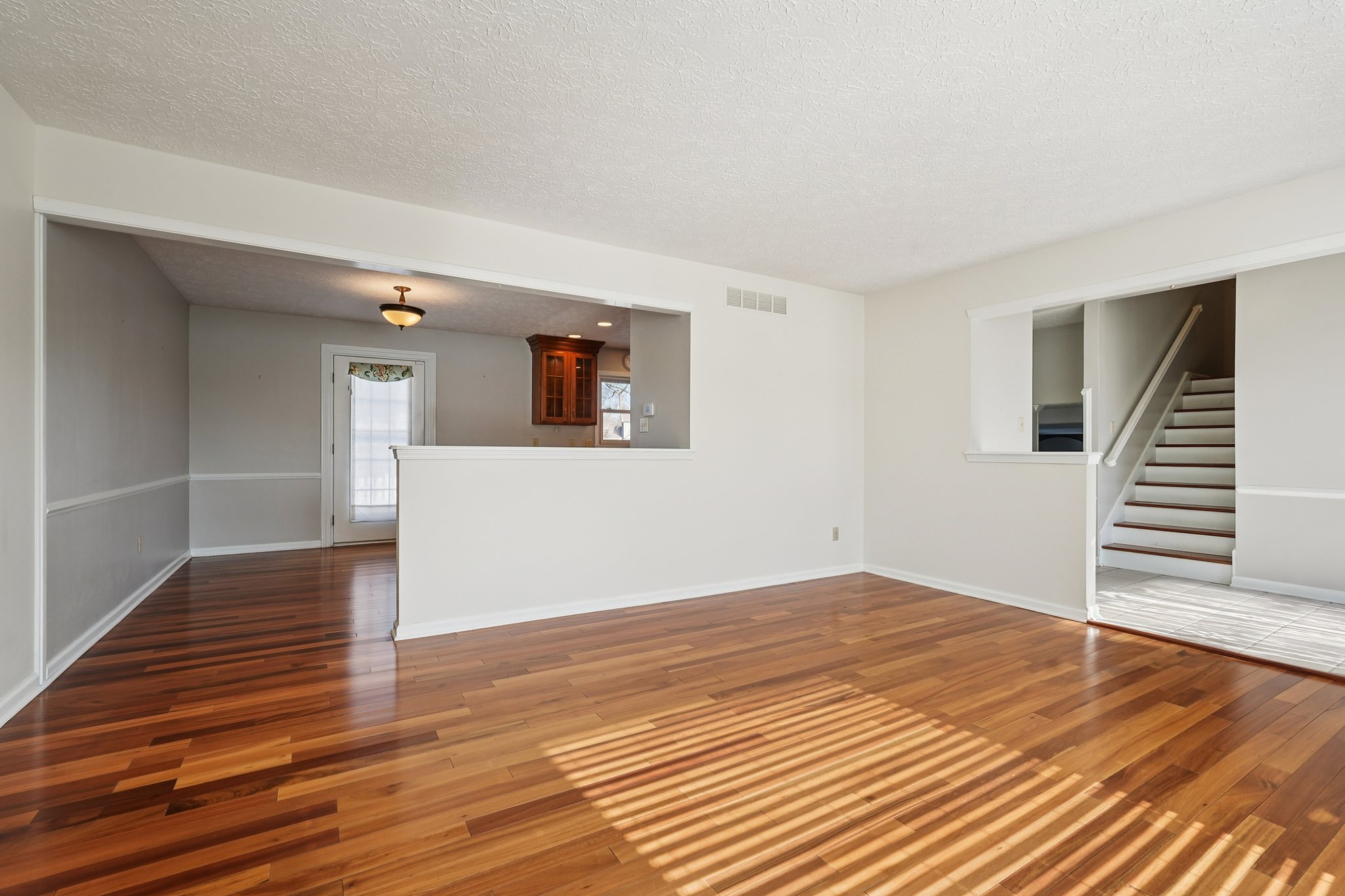 Greyhound Cir-S1202-008.jpg