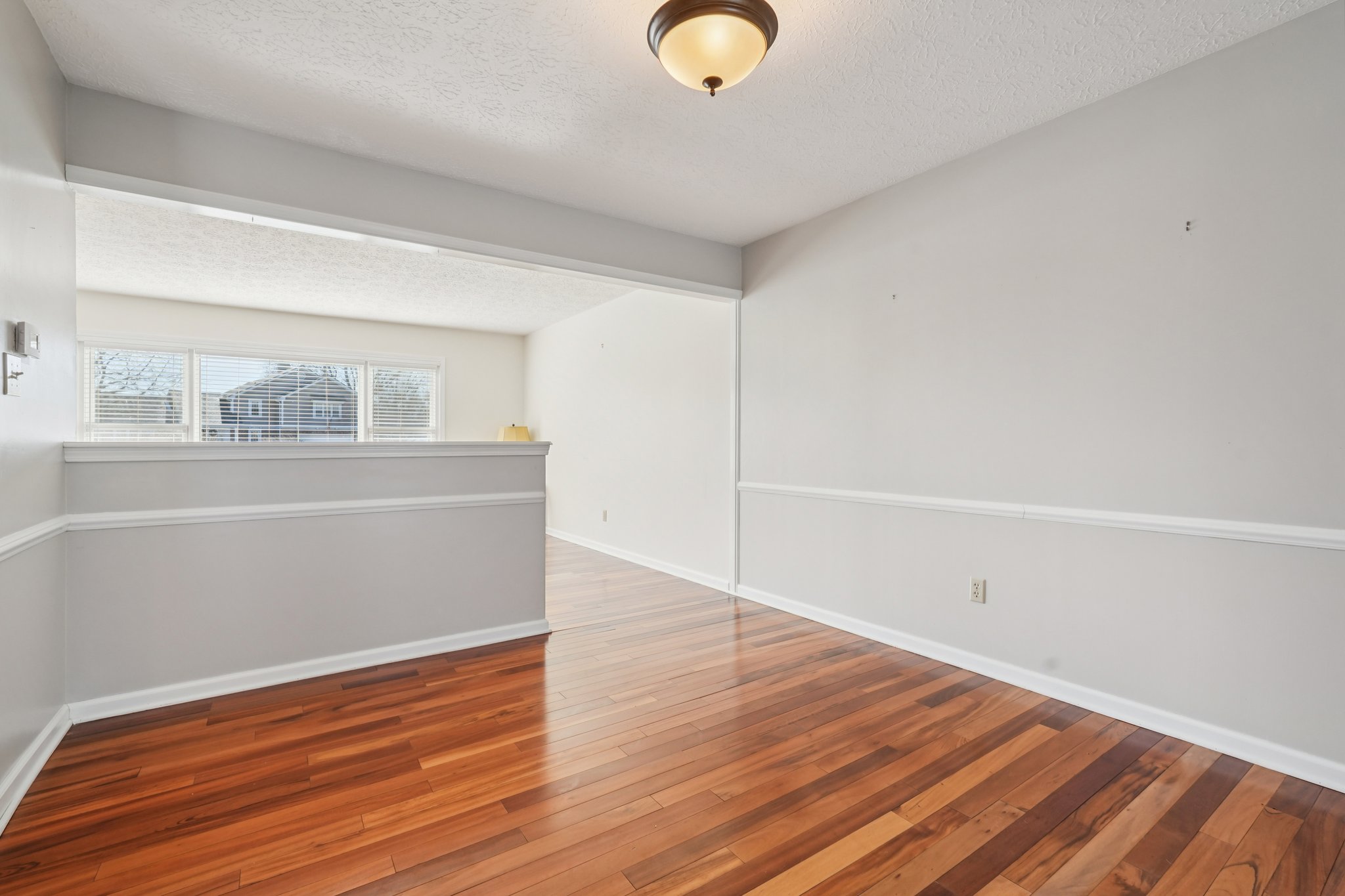 Greyhound Cir-S1202-012.jpg