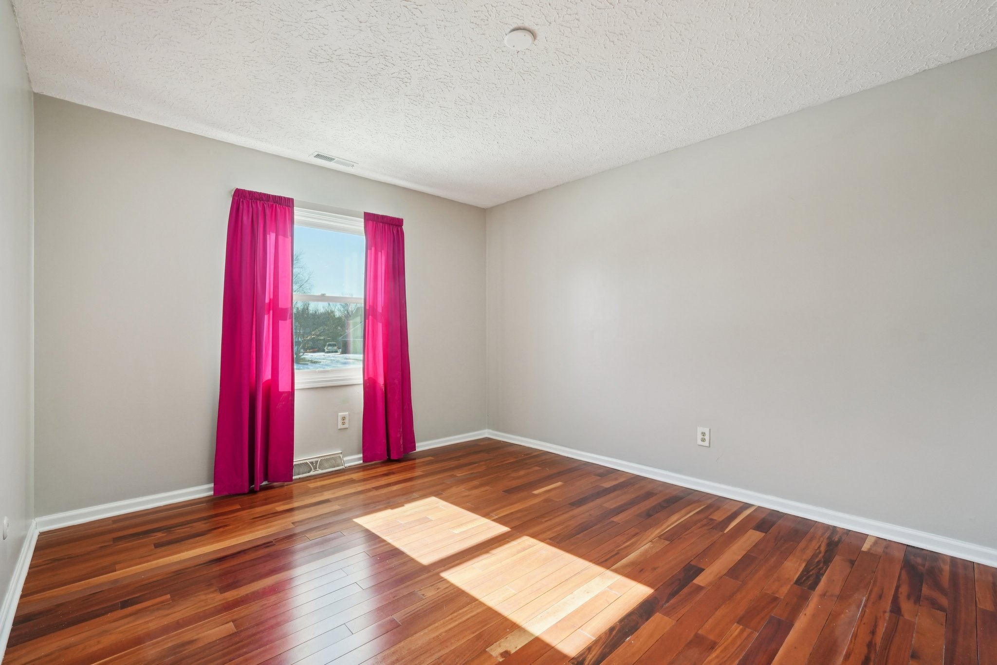 Greyhound Cir-S1202-023.jpg