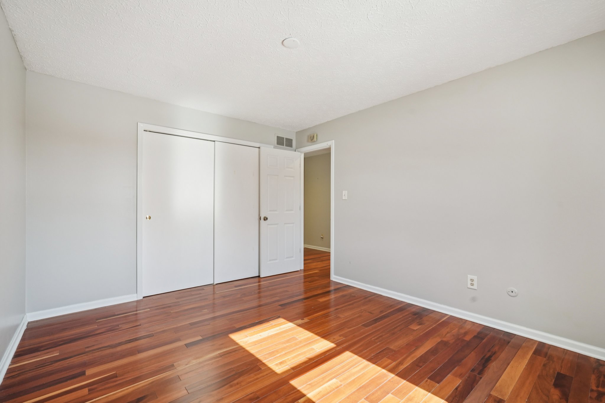 Greyhound Cir-S1202-024.jpg