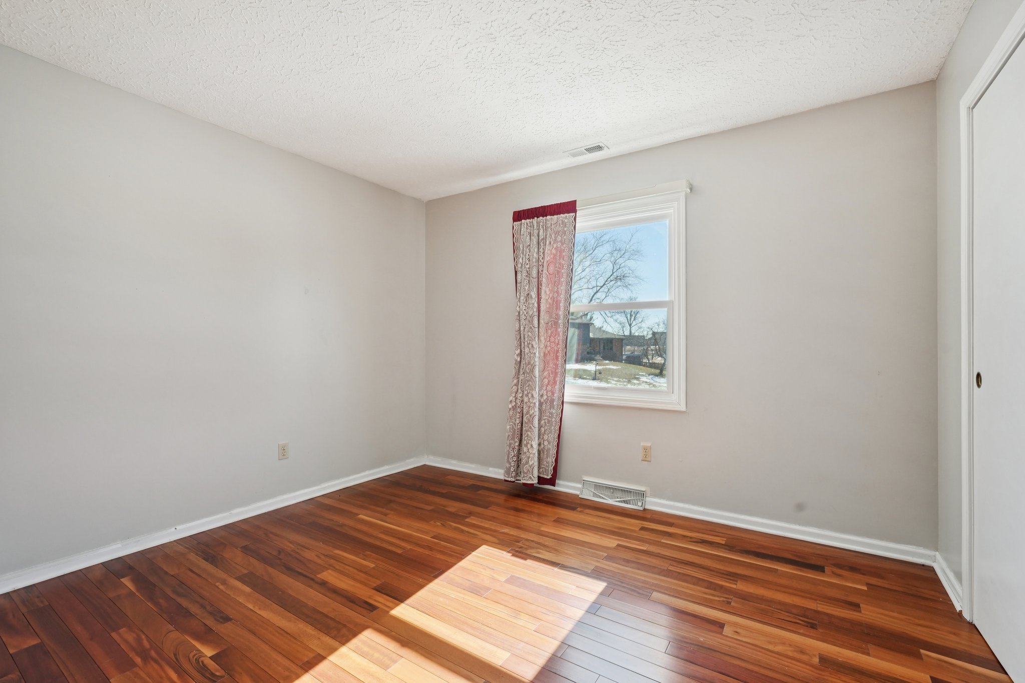 Greyhound Cir-S1202-025.jpg