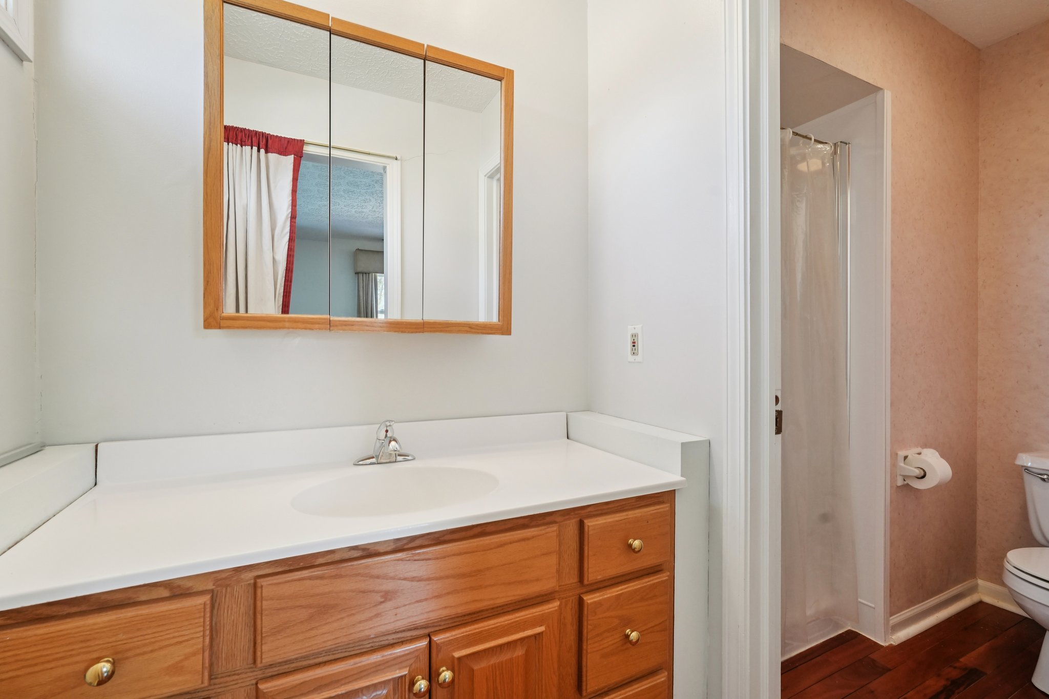 Greyhound Cir-S1202-035.jpg