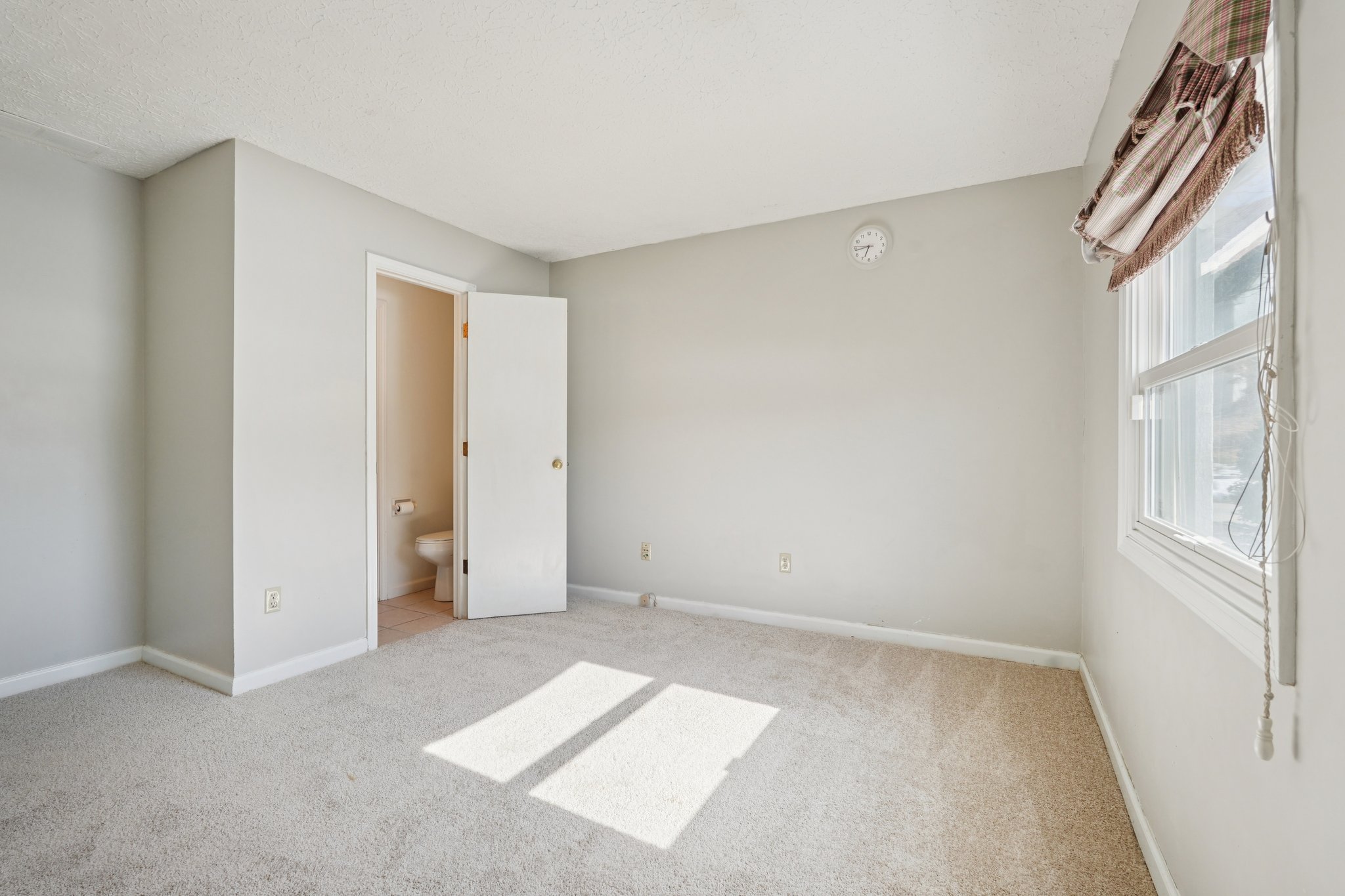 Greyhound Cir-S1202-040.jpg