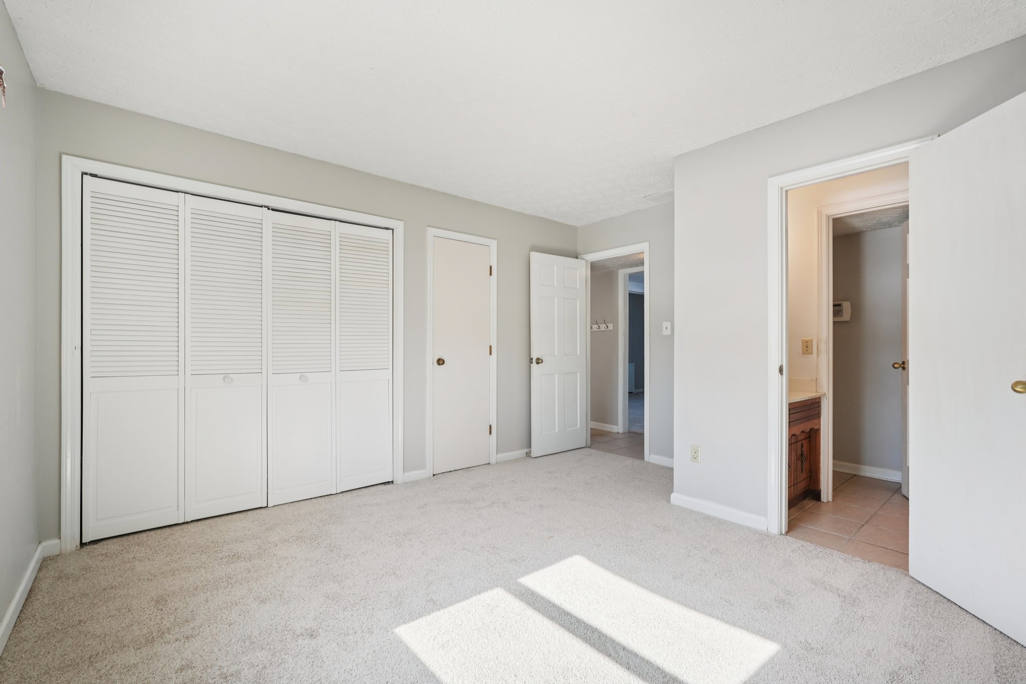 Greyhound Cir-S1202-041.jpg