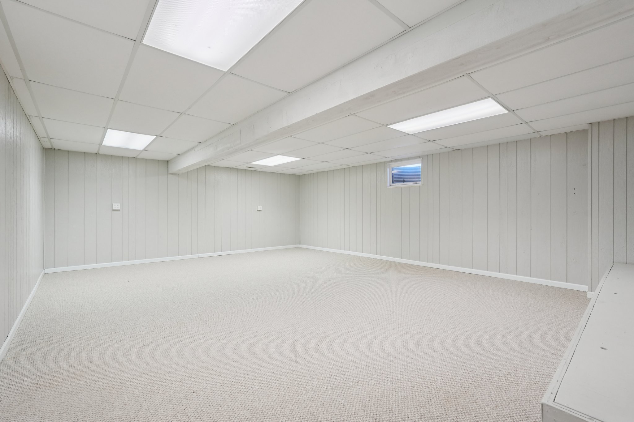 Greyhound Cir-S1202-051.jpg