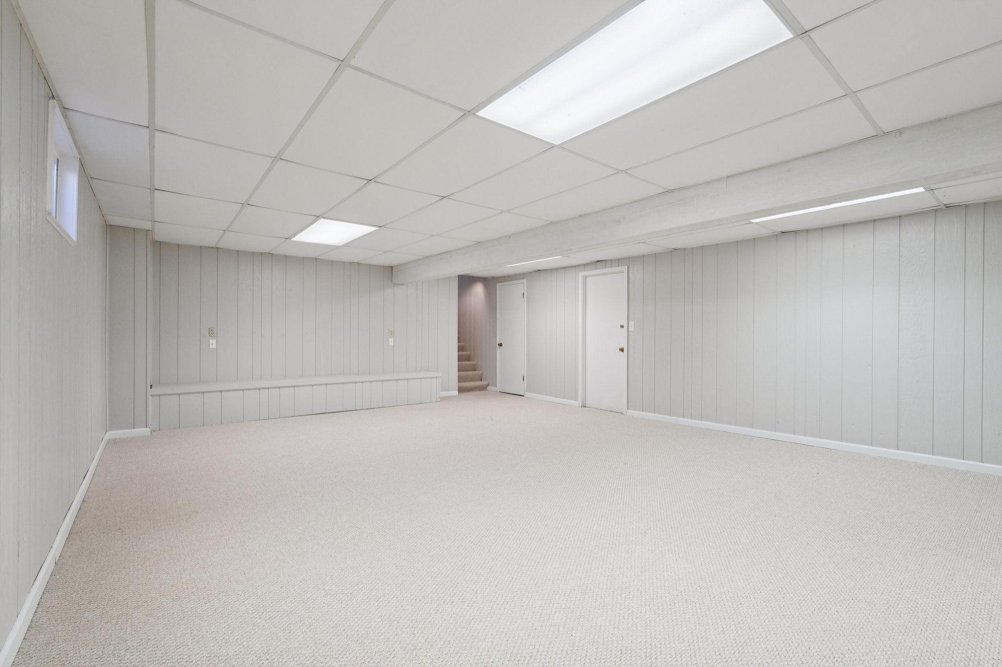 Greyhound Cir-S1202-053.jpg